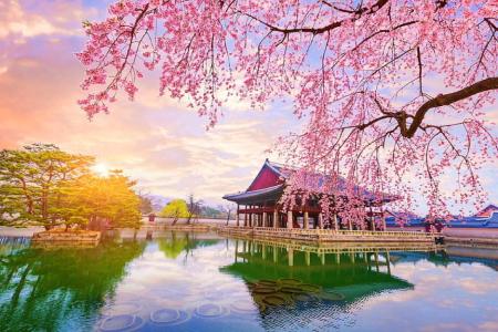 Educational and Professional Services