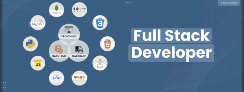 Full stack developer