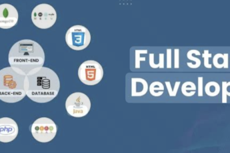 Full stack developer